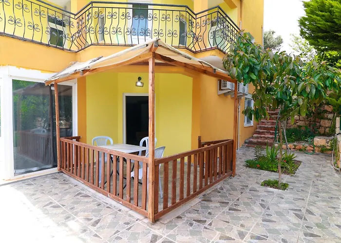 Yellow Butterfly 2 Demre